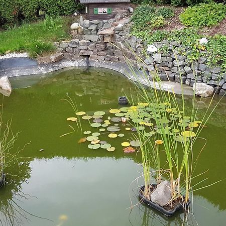 Konigswalde Waldhufenidyll Koenigswalde Im Erzgebirge 아파트 외부 사진