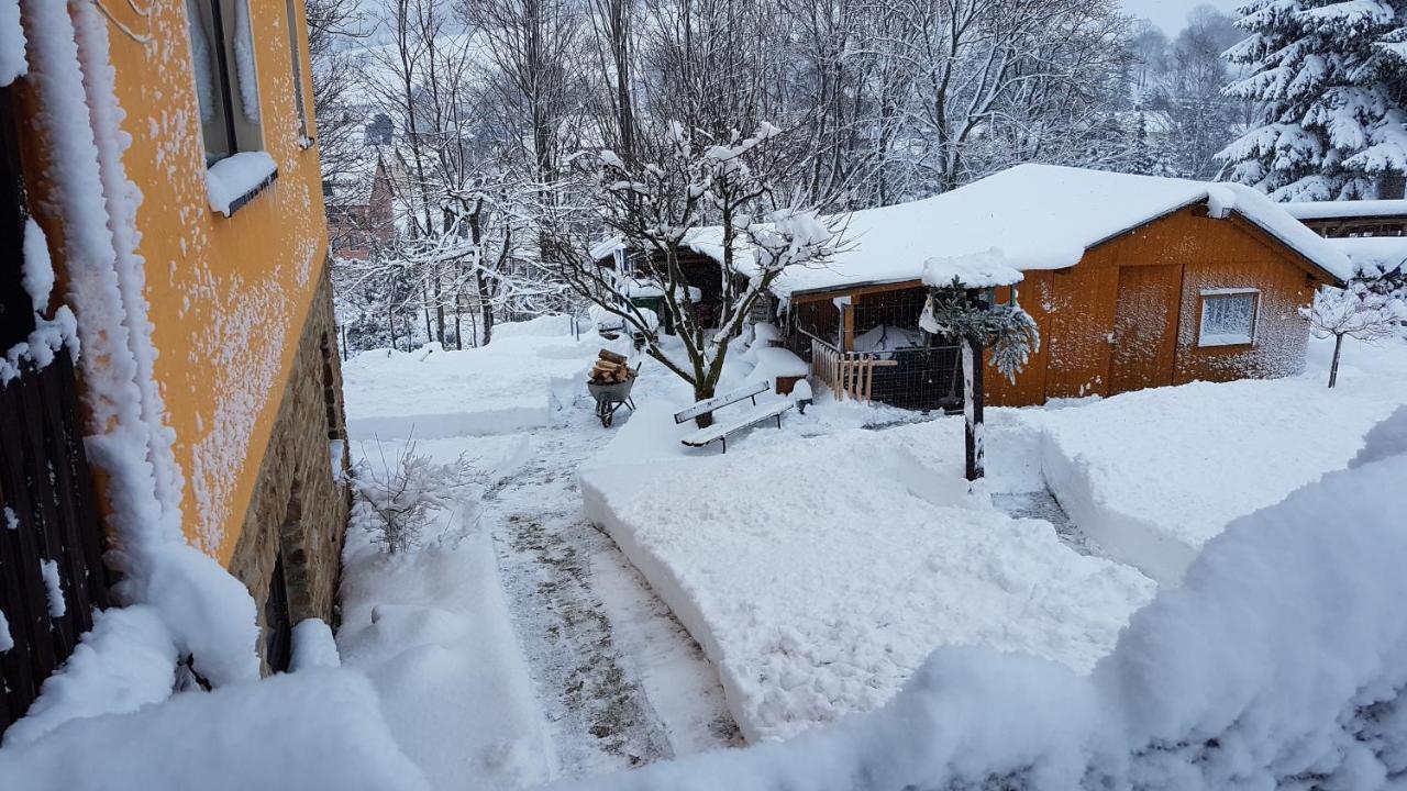 Konigswalde Waldhufenidyll Koenigswalde Im Erzgebirge 아파트 외부 사진