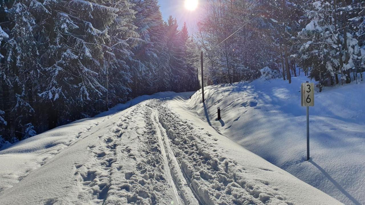 Konigswalde Waldhufenidyll Koenigswalde Im Erzgebirge 아파트 외부 사진