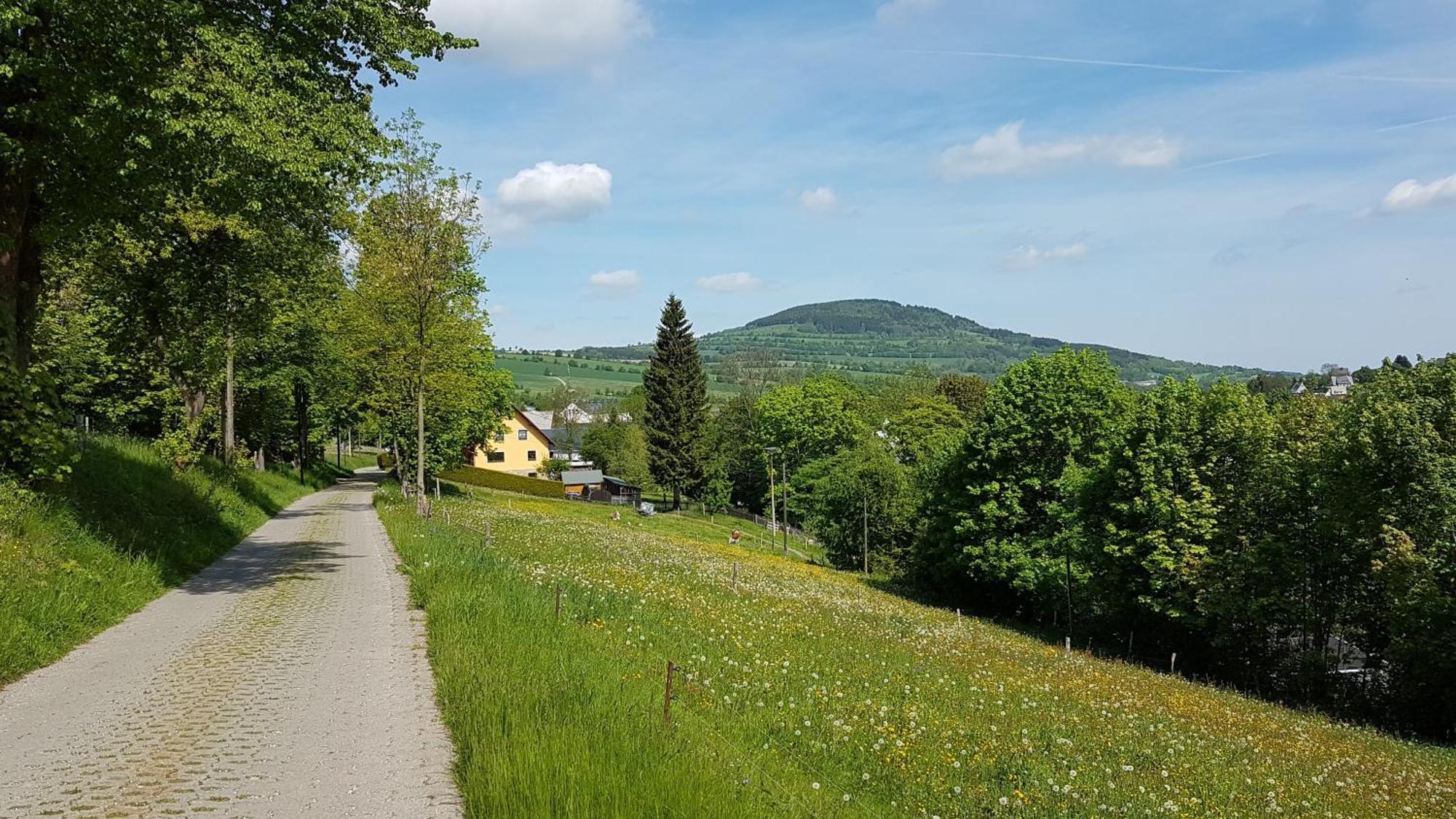 Konigswalde Waldhufenidyll Koenigswalde Im Erzgebirge 아파트 외부 사진
